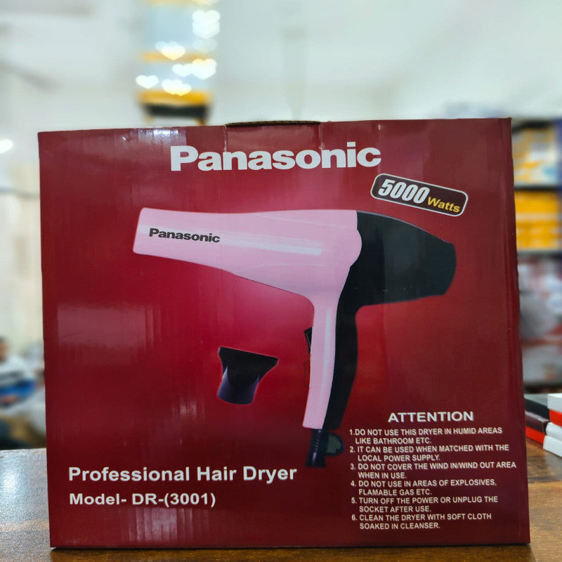 Panasonic Hair Dryer Model (DR-3001)